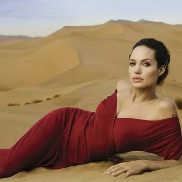 Angelina Jolie Hollywood actresss 17