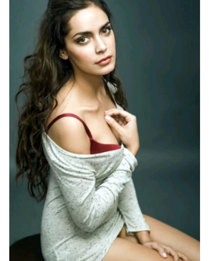 shazahn padamsee bollywood actress 2