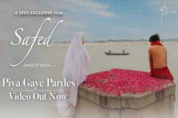 Piya Gaye Pardes (Video) | Safed | Sandeep Singh | Shail Hada, A M Turaz | Meera C, Abhay V Lyrics