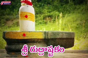 Rudrashtakam in Telugu Lyrics