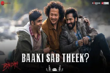 Baaki Sab Theek - Bhediya in English | Varun Dhawan, Abhishek B, Paalin K | Sachin-Jigar & Amitabh Bhattacharya Lyrics