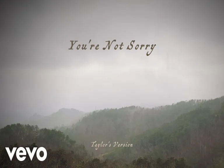 You're Not Sorry  Lyrics