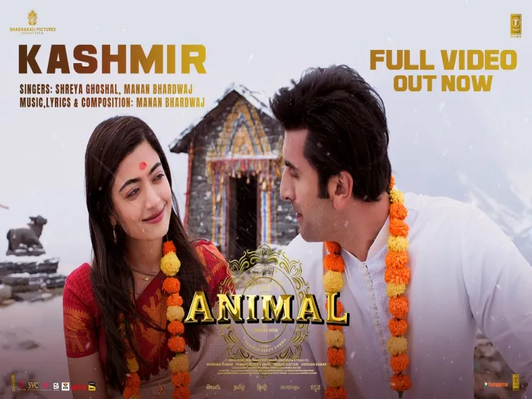 Kashmir Song  in Hindi amp English  Animal Lyrics