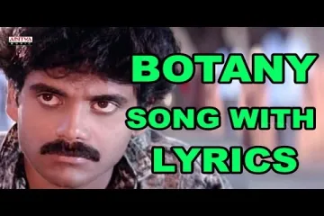 Botany Patamundi lyrics | S.P Balu Lyrics