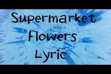 Supermarket Flowers Lyrics