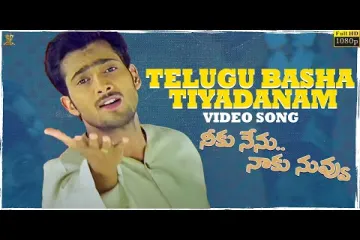 Telugu Basha Teeya Danam Song Lyrics - Neeku Nenu Naaku Nuvvu Lyrics