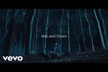 David Kushner  Skin and Bones song  Lyrics
