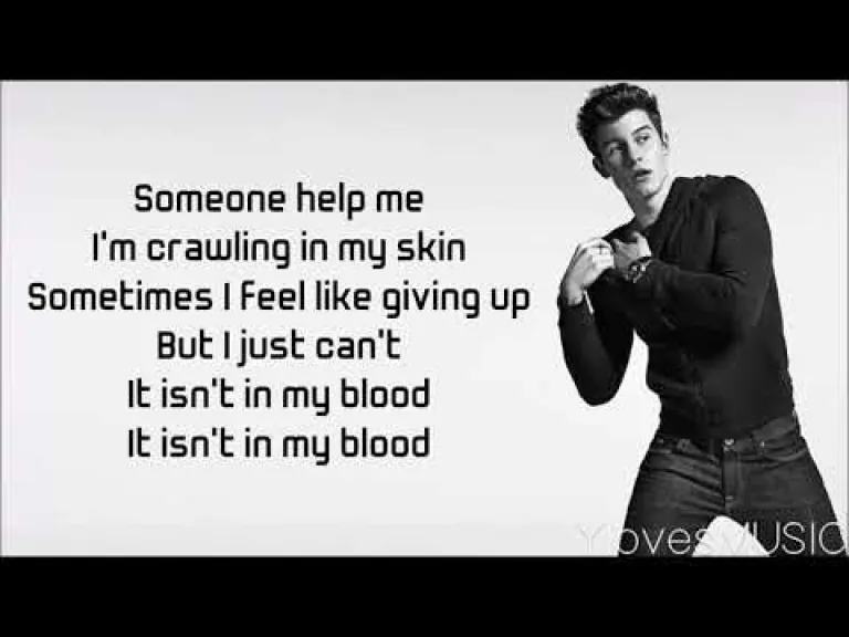 Shawn Mendes - In My Blood () Lyrics