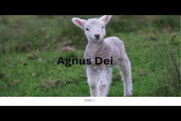 Agnus Dei You Are Holy Lyrics