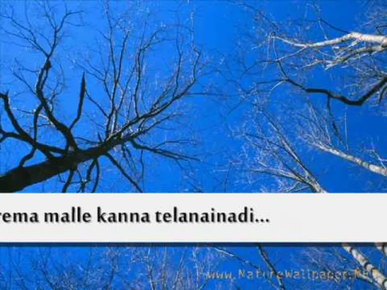 TENEKANA THIYANAINADI NAA YESU PREMA| Telugu christian song Lyrics