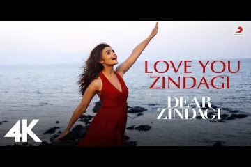 Love You Zindagi song /Dear Zindhagi/Jasleeb Royal Lyrics