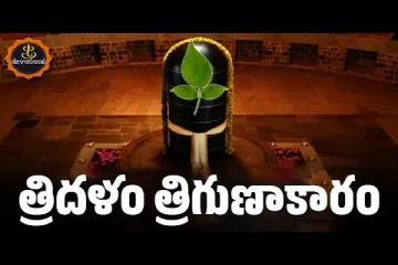Bilvashtakam Lyrics In Telugu - Lord Shiva Songs Lyrics
