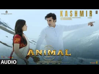 Kashmir Song -Animal Lyrics
