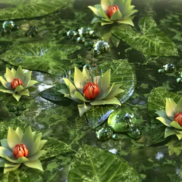 Water lily lotus flower