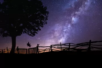 starry sky silhouette swing tree night
