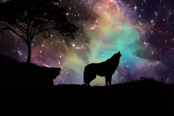 wolf starry sky silhouette art