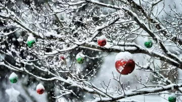 balls twigs new year snow