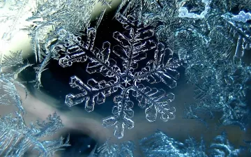 snowflake winter macro ice
