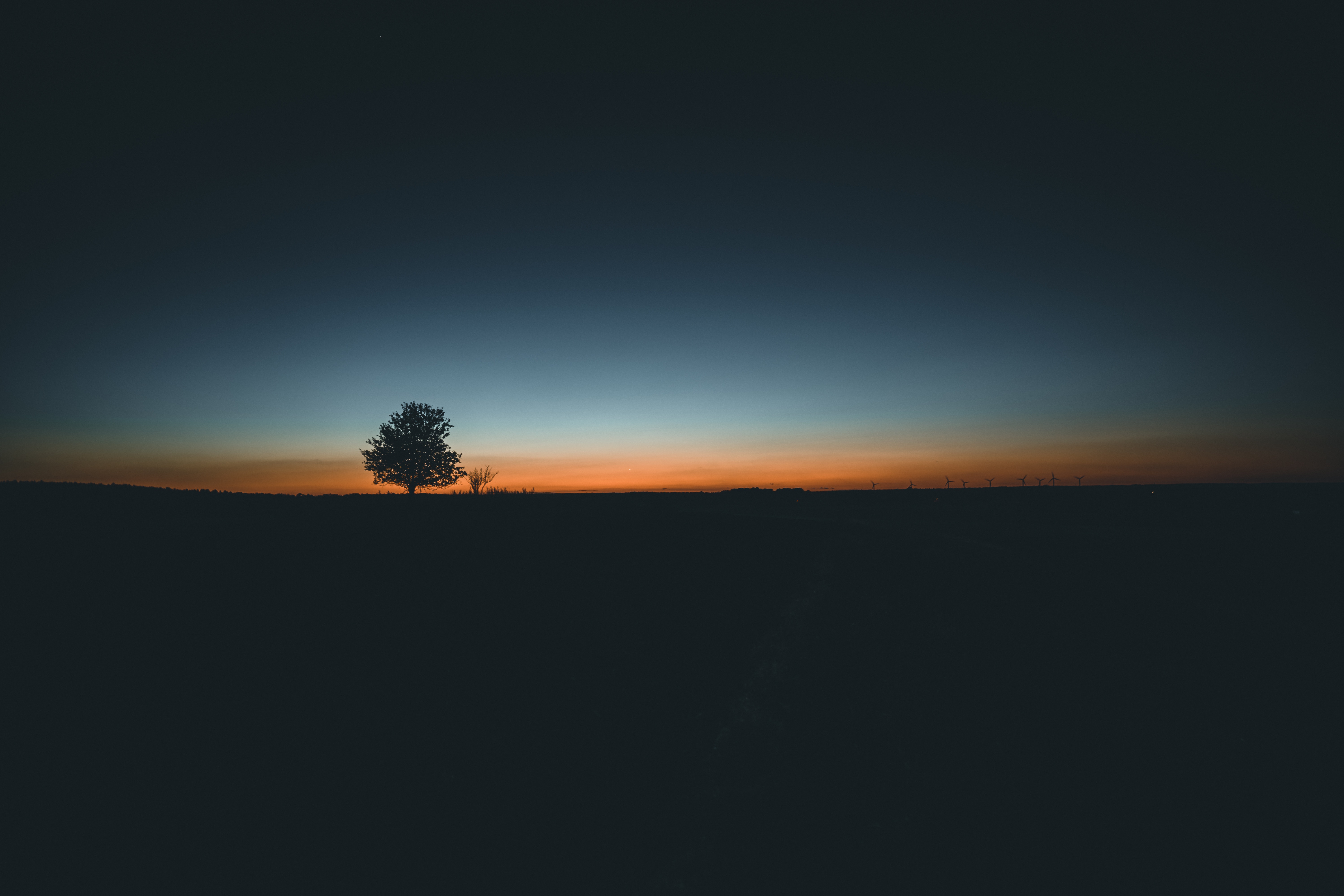 tree horizon minimalism