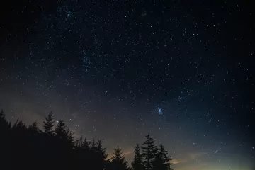 starry sky night trees night landscape
