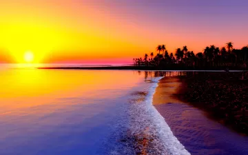 beach tropics sea sand palm trees sunset