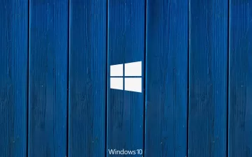 windows logo texture