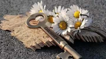 key daisies inscription dream